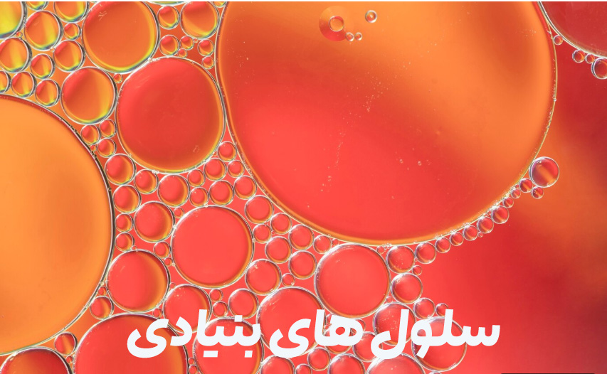 هزینه سلول درمانی زخم 